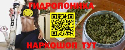твердый Гусев