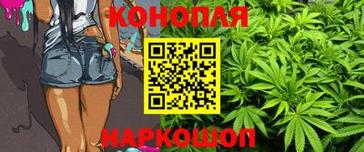 твердый Гусев