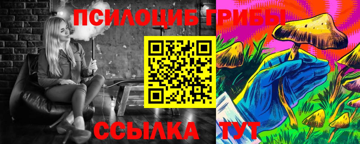сколько стоит  Псилоцибиновые грибы мухоморы  Вход с VPN  Озёры 
