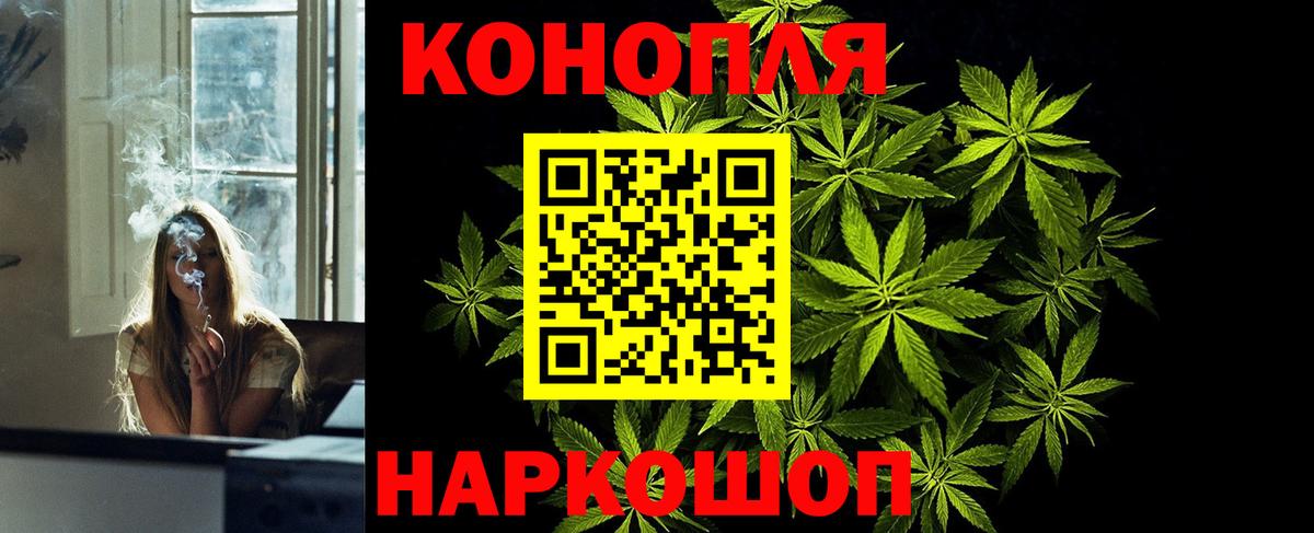 Шишки марихуана план  Вход с VPN  Озёры  Бошки марихуана Bruce Banner  Марихуана White Widow 